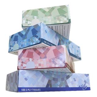 TISSUE FACIAL 2PLY 100/BX 30/C