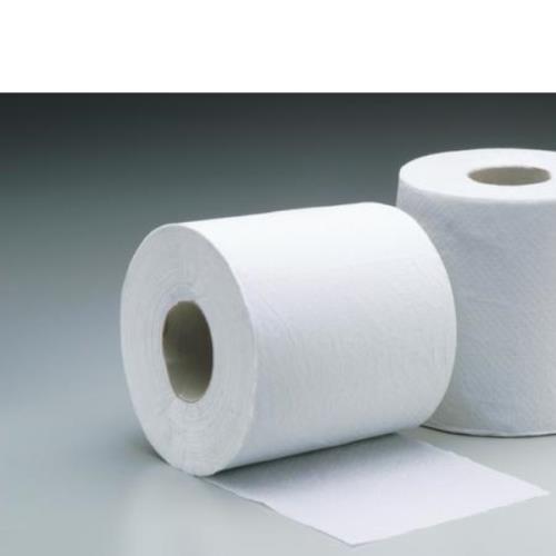 TOILET TISSUE 2PLY 750 SHEETS