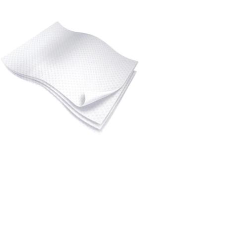 WASHCLOTHS DRY FLUSHABLE 500/C